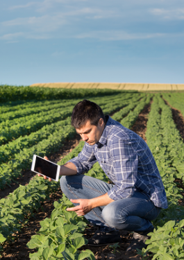 塑造更好的商业实践