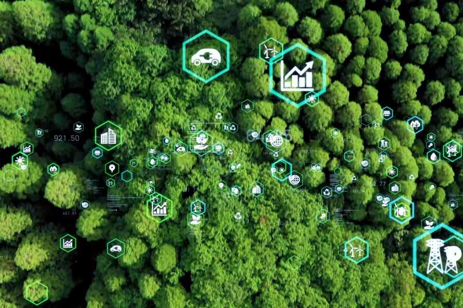 绿色可持续（Green Line）