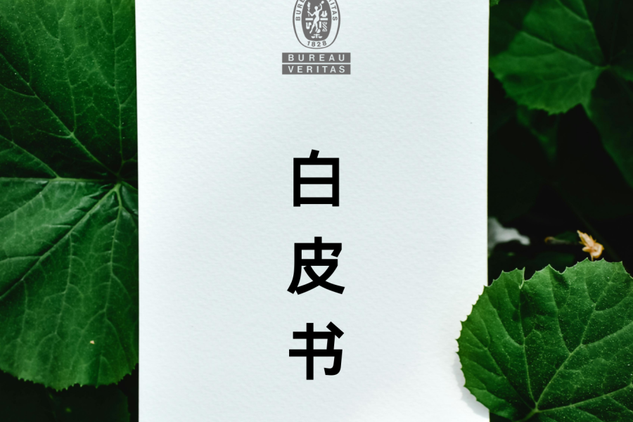 必维消费品行业白皮书